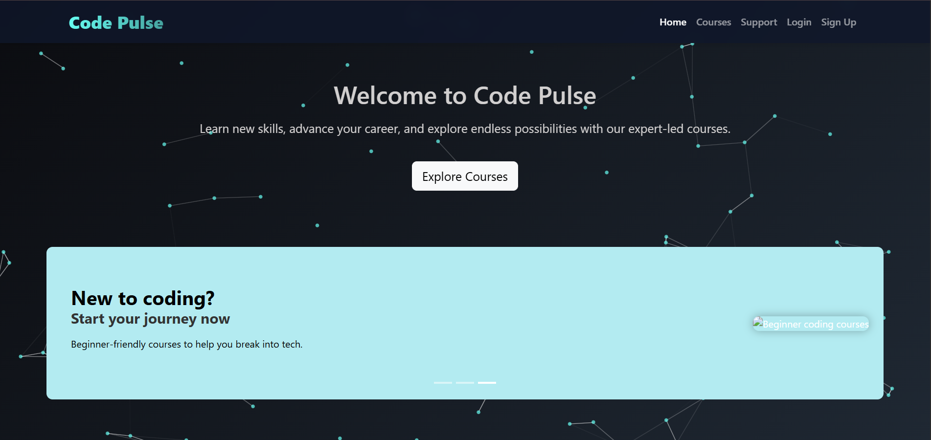 Code-Pulse Project Screenshot